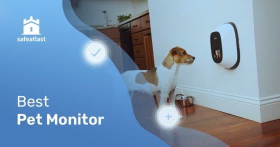 126-Best-Pet-Monitor