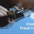 235-Credit-Card-Fraud-Statistics