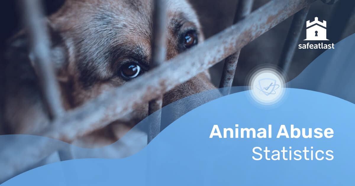 10+ Shocking Animal Abuse Statistics