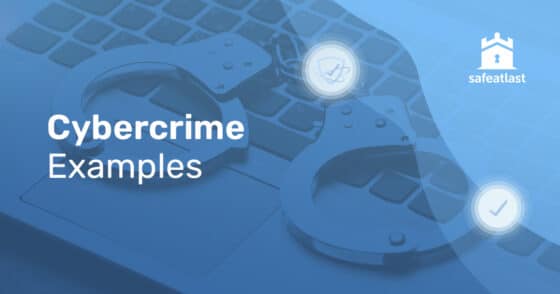 Cybercrime Examples